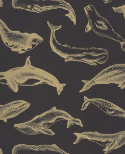 Caselio Wallpaper - Whale Done - Black & Gold