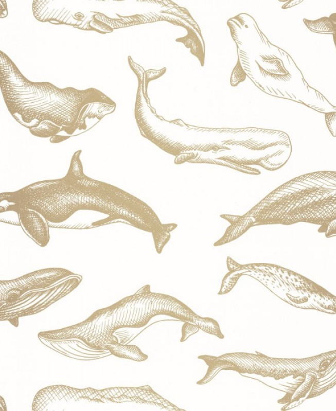 Caselio Wallpaper - Whale Done - White & Gold