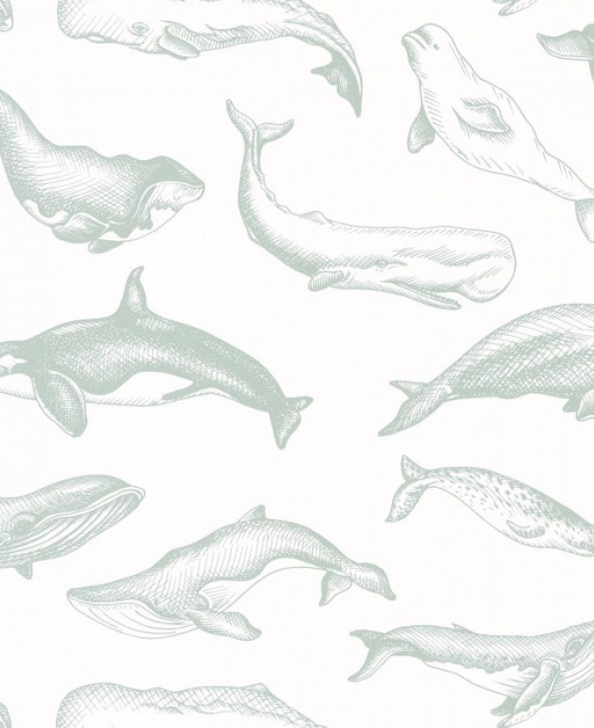 Caselio Wallpaper Art. Whale Done Col. Vert D'Eau