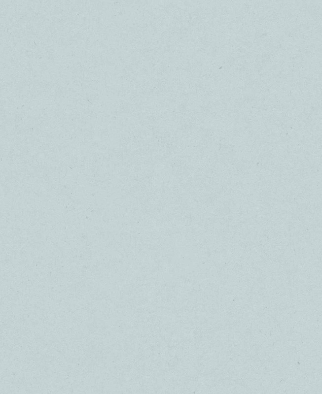 Cristiana Masi Wallpaper - Gray - MiniMe 17193