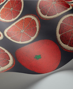 Fornasetti Senza Tempo Wallpaper - Arance - Blood Orange Rouge on Ink