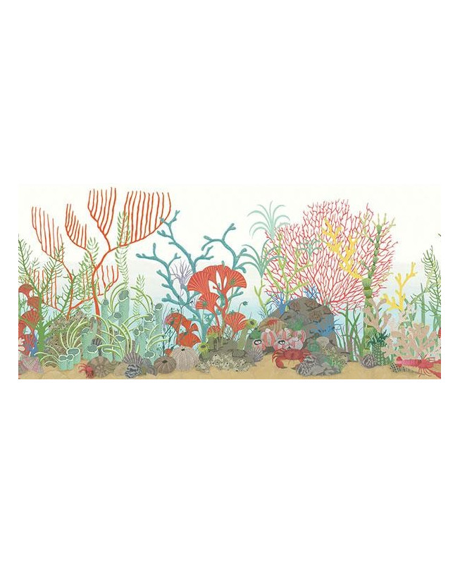 Cole & Son Wallpaper - Archipelago (BORDER) - Multicolor