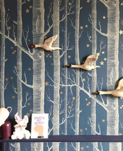 Cole & Son Wallpaper - Woods & Stars - Midnight Blue & Gold