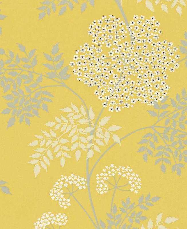 Sanderson Wallpaper - Cowparsley - Yellow