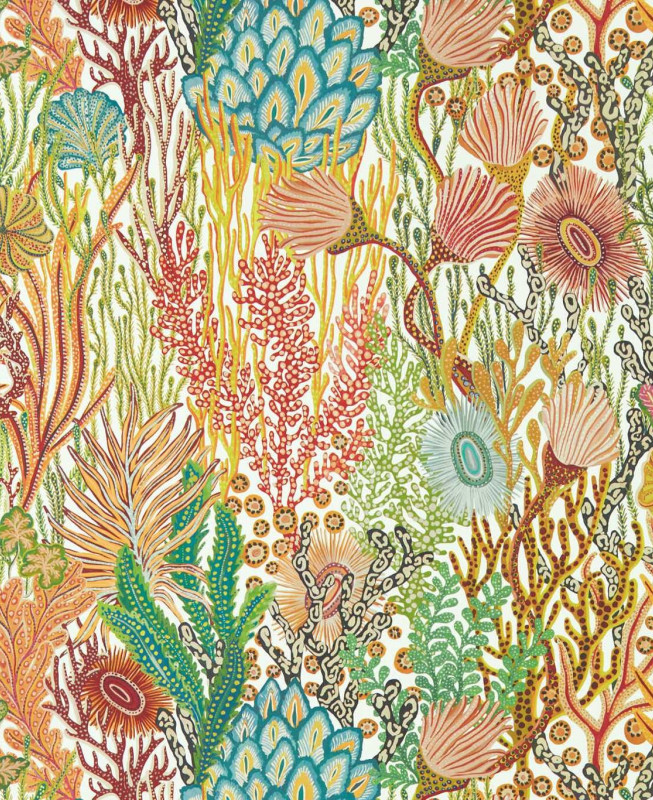 Harlequin Wallpaper - Acropora - Multicolor