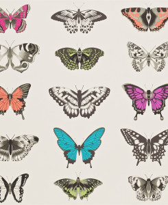 Carta da Parati Harlequin - Papilio - Multicolore