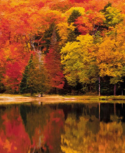 Caselio Wallpanel - Autumn - Red & Yellow