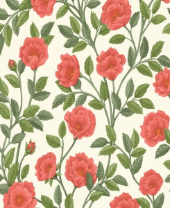 Cole & Son Wallpaper - Hampton Roses - Rouge & Spring Green