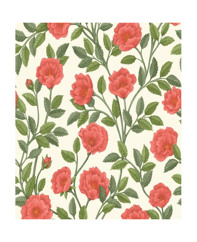 Cole & Son Wallpaper - Hampton Roses - Rouge & Spring Green