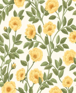 Cole & Son Wallpaper - Hampton Roses - Yellow & Green on White Background