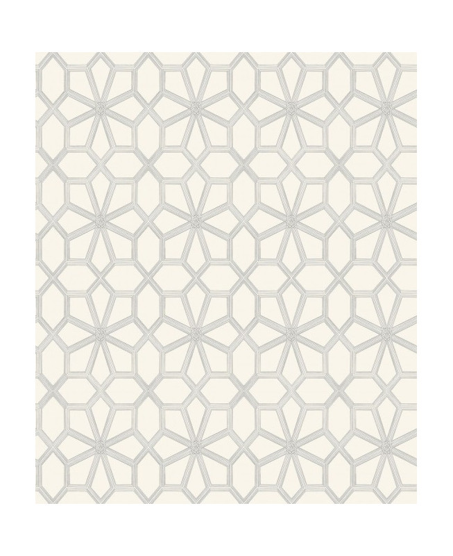 Cole & Son Wallpaper - Wolsey Stars - Soot on Snow